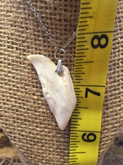 Charming Natural White and Cream Shell Pendant